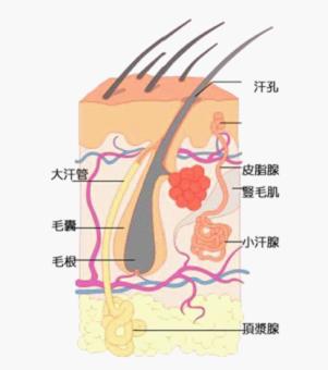 病理